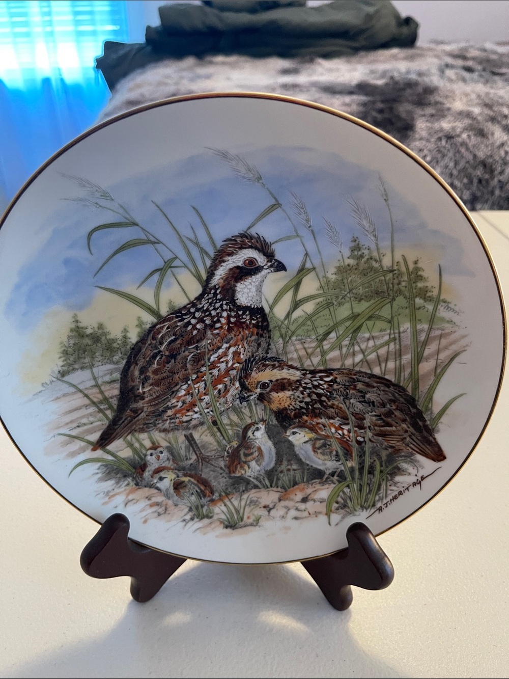 Decorative Game Bird Collector Plate with Gold Rim. Game Birds of the South